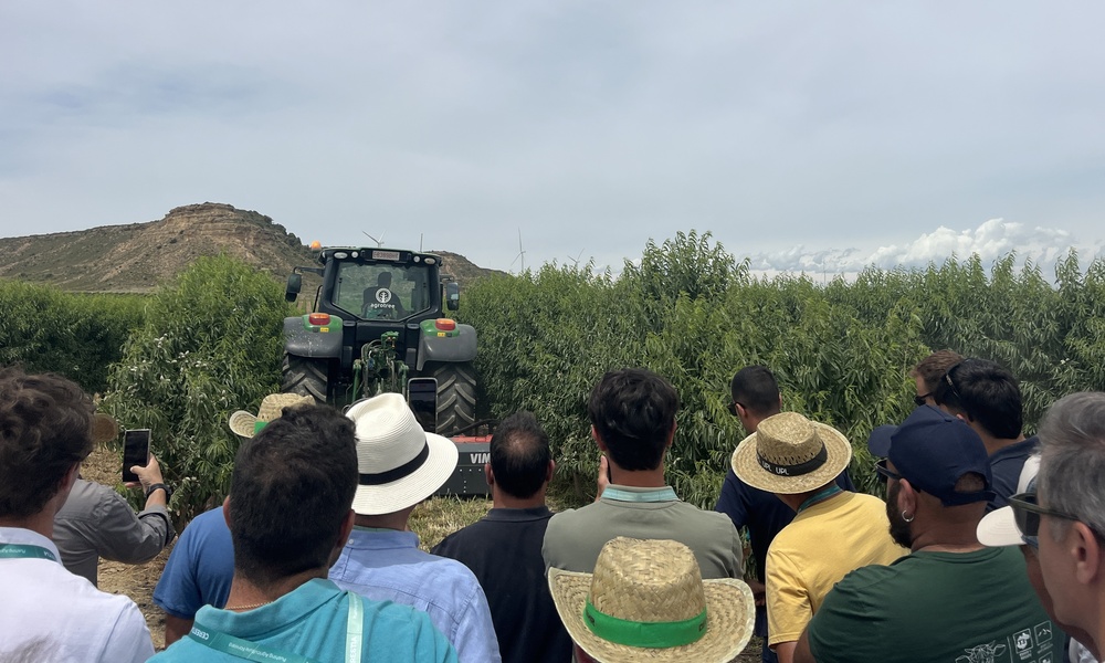 Demostración en campo durante Demoalmendro 2026 con maquinaria agrícola en una plantación de almendros